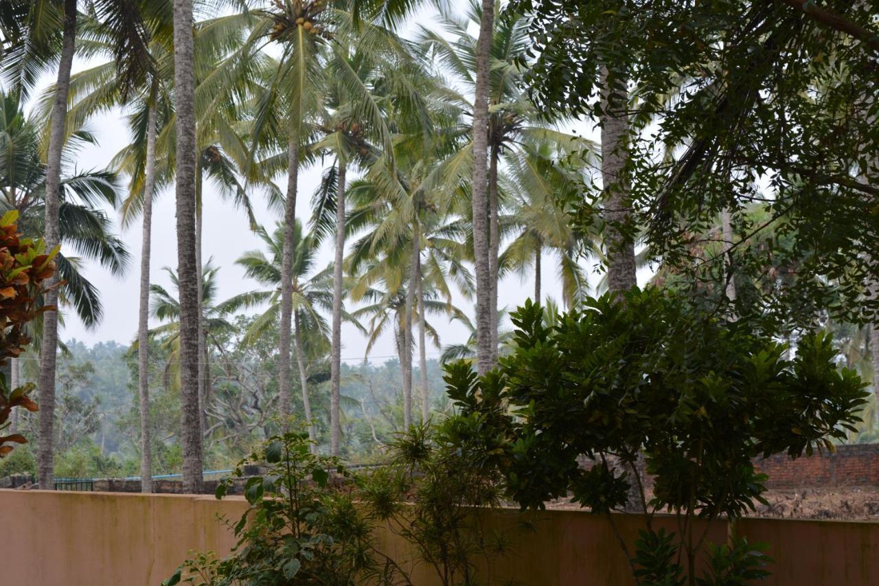 Indeevaram Apartments Kovalam Εξωτερικό φωτογραφία